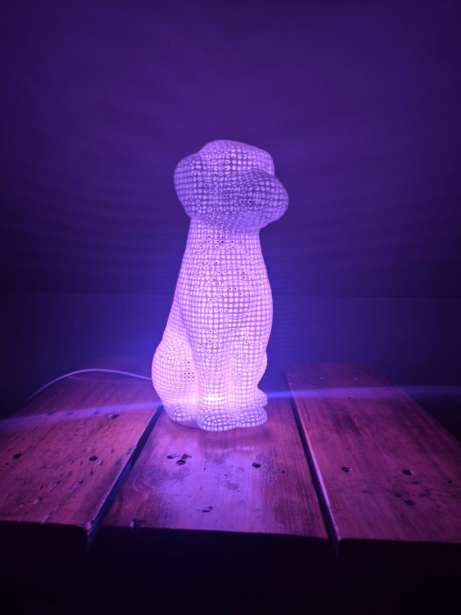 3D Printed Dog Lamp