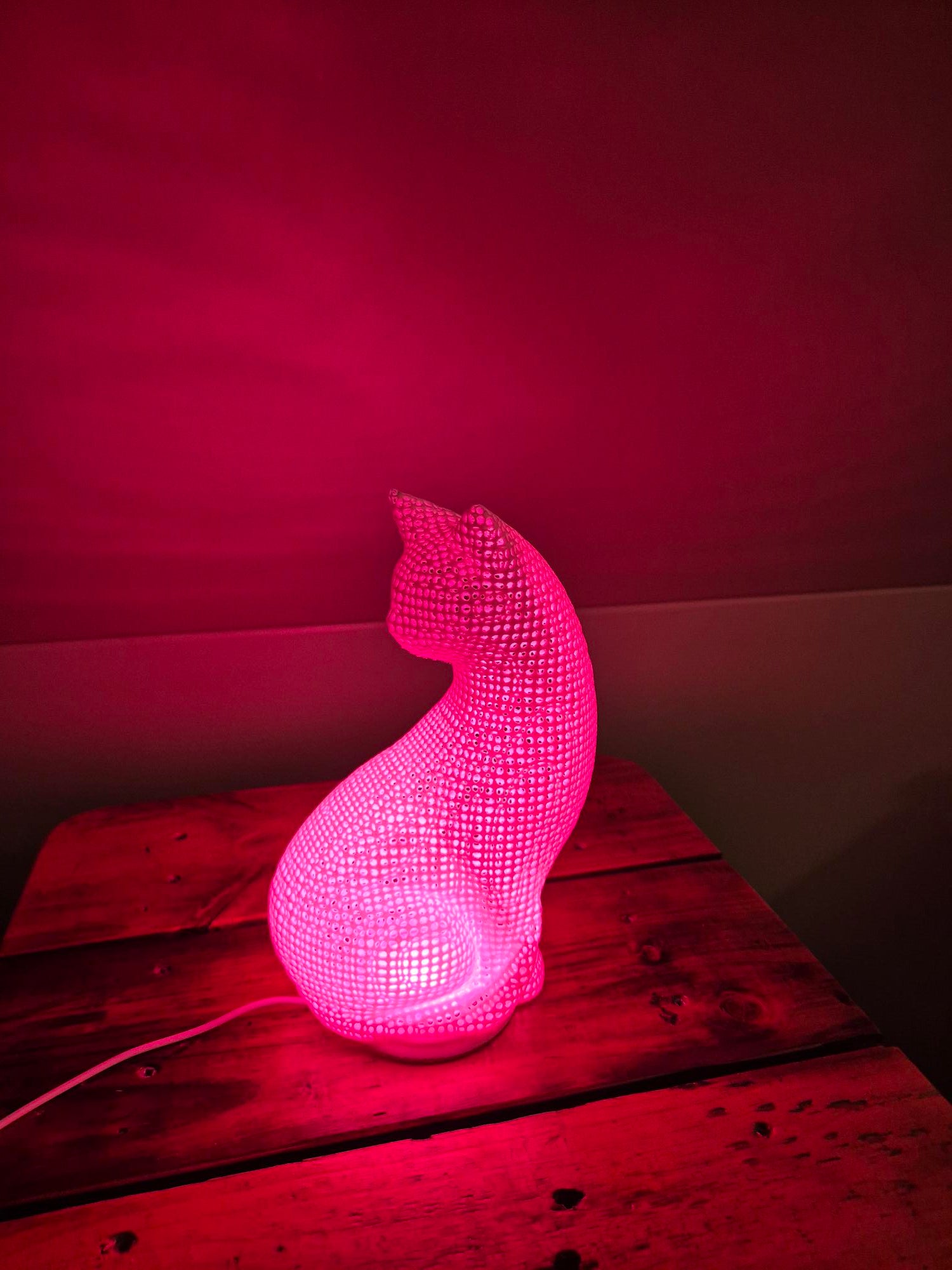 3D Printed Cat Lamp