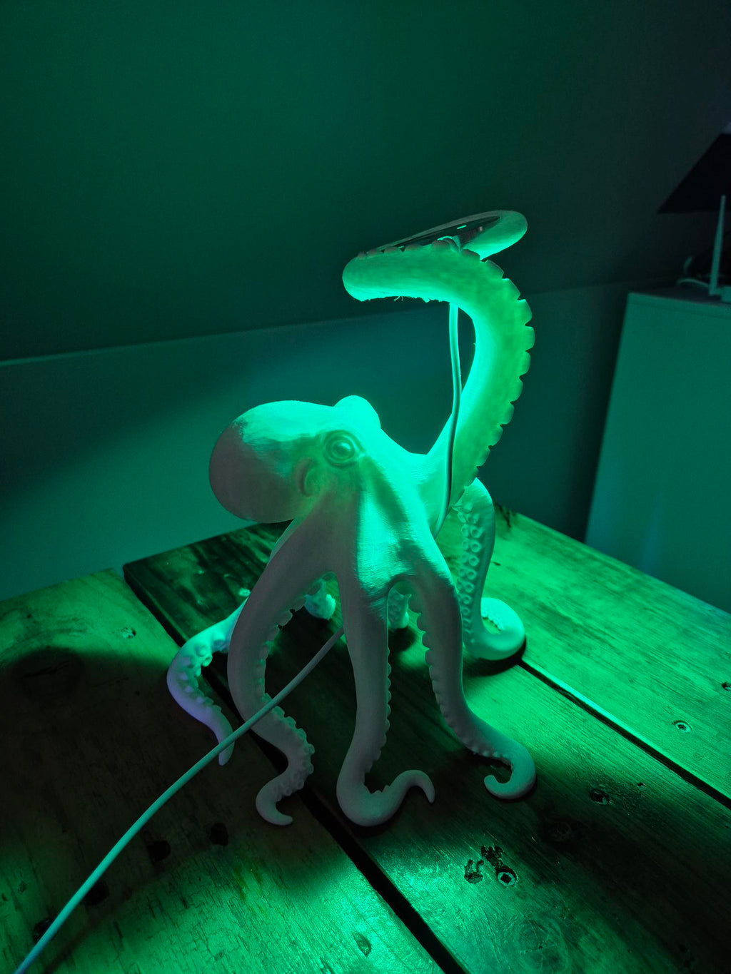 3D Printed Octopus Lamp
