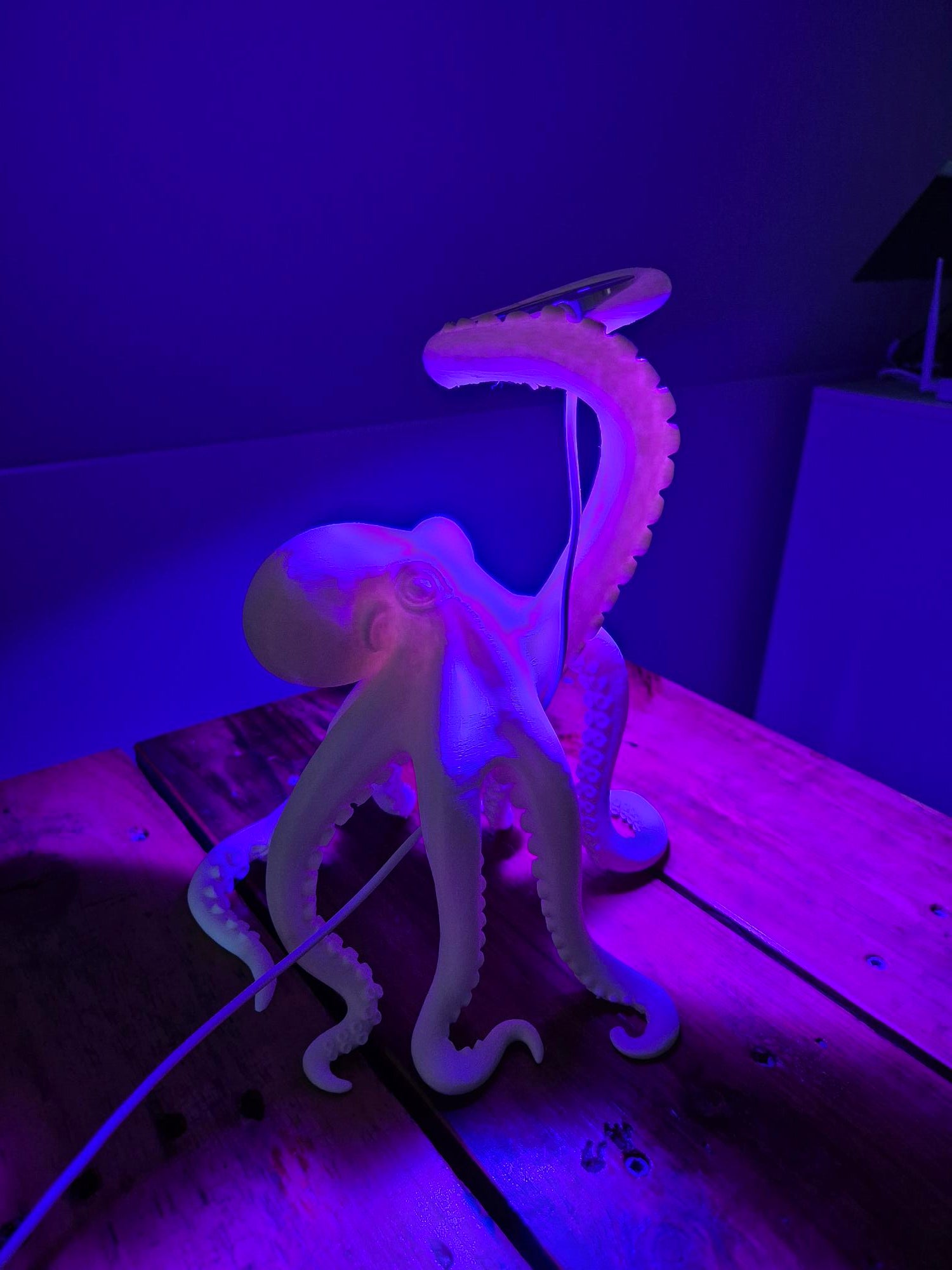 3D Printed Octopus Lamp