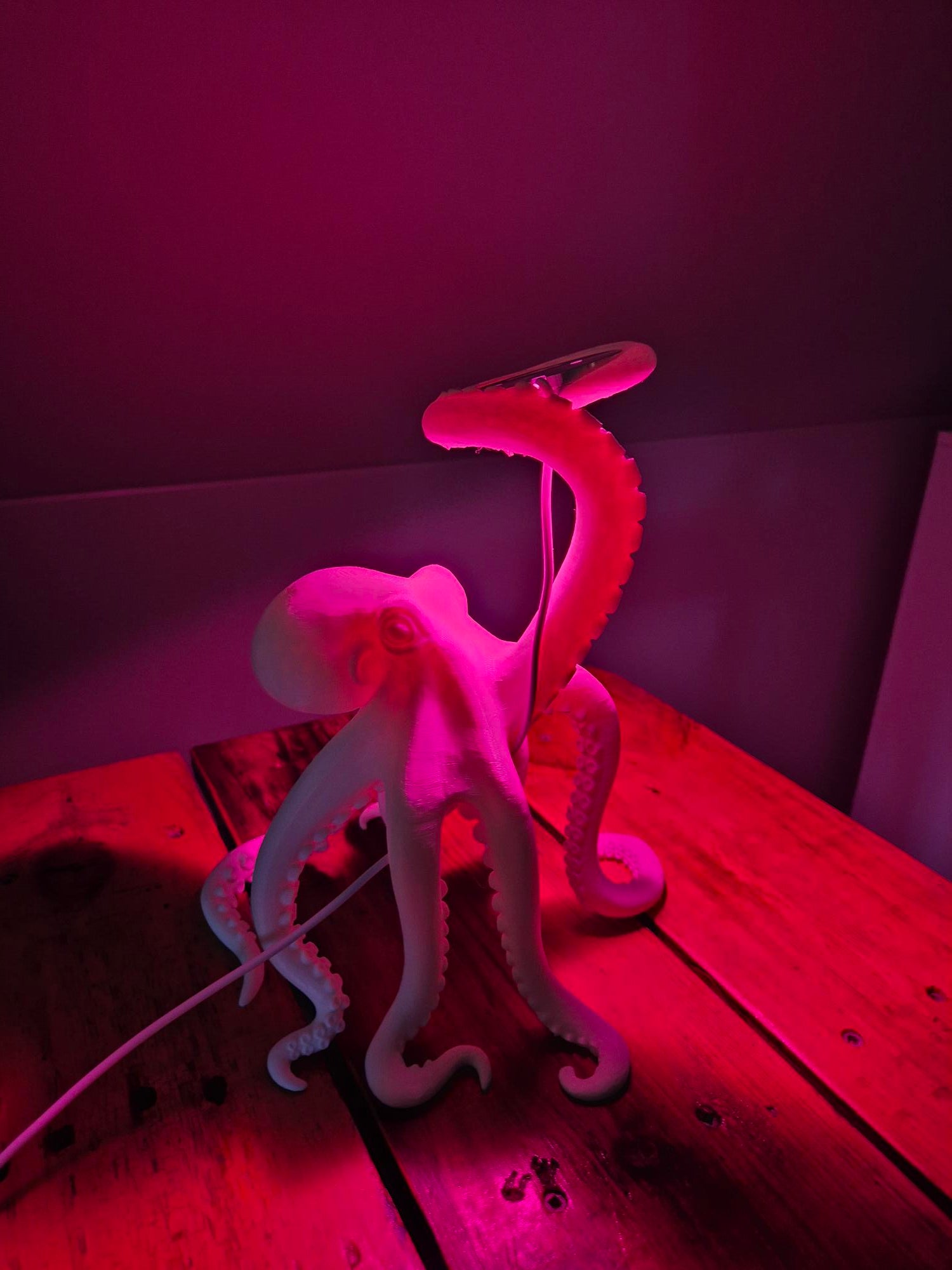 3D Printed Octopus Lamp