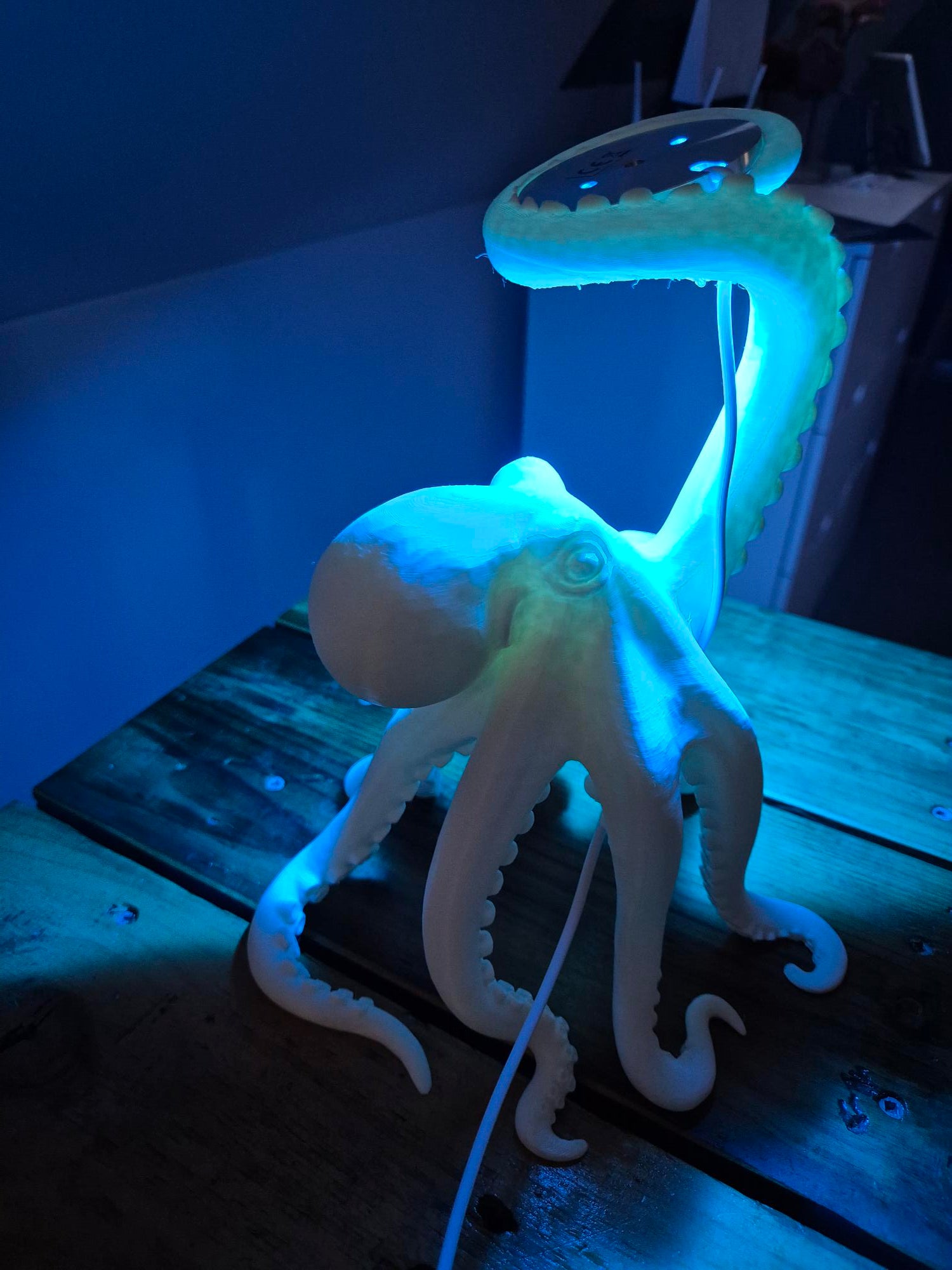 3D Printed Octopus Lamp