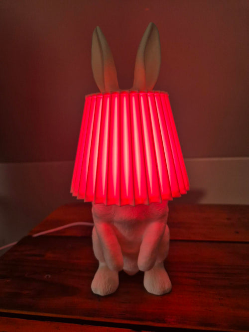 3D Printed Cheeky Bunny Lamp